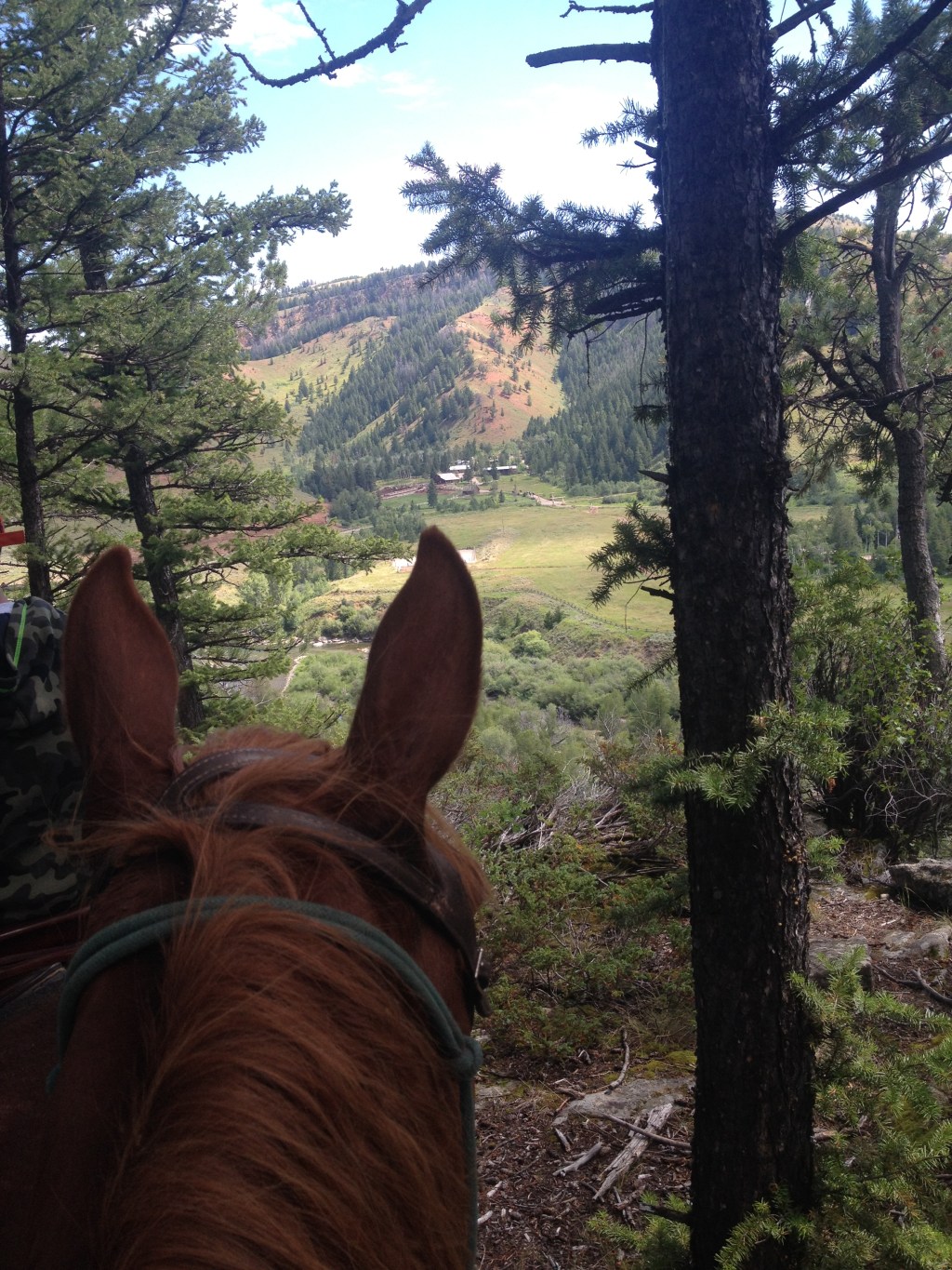 Where my heart&nbsp;is