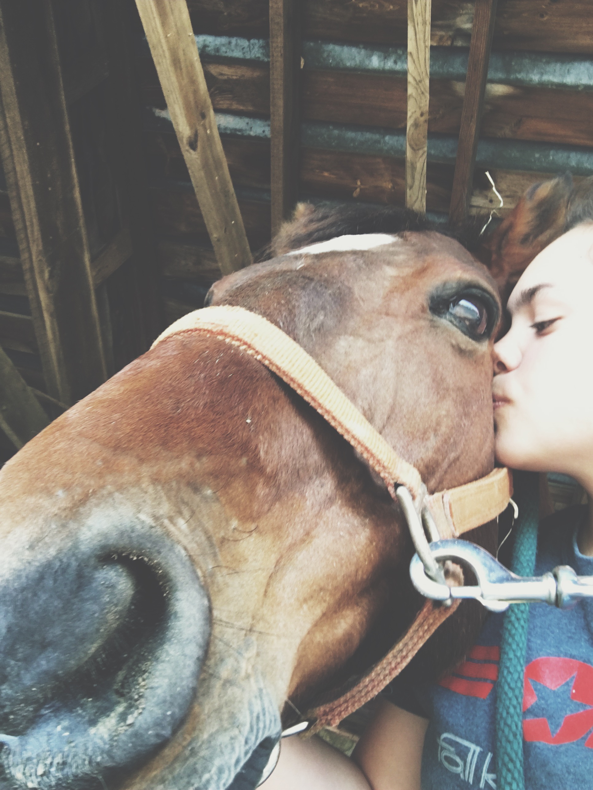 Processed with VSCO with t1 preset