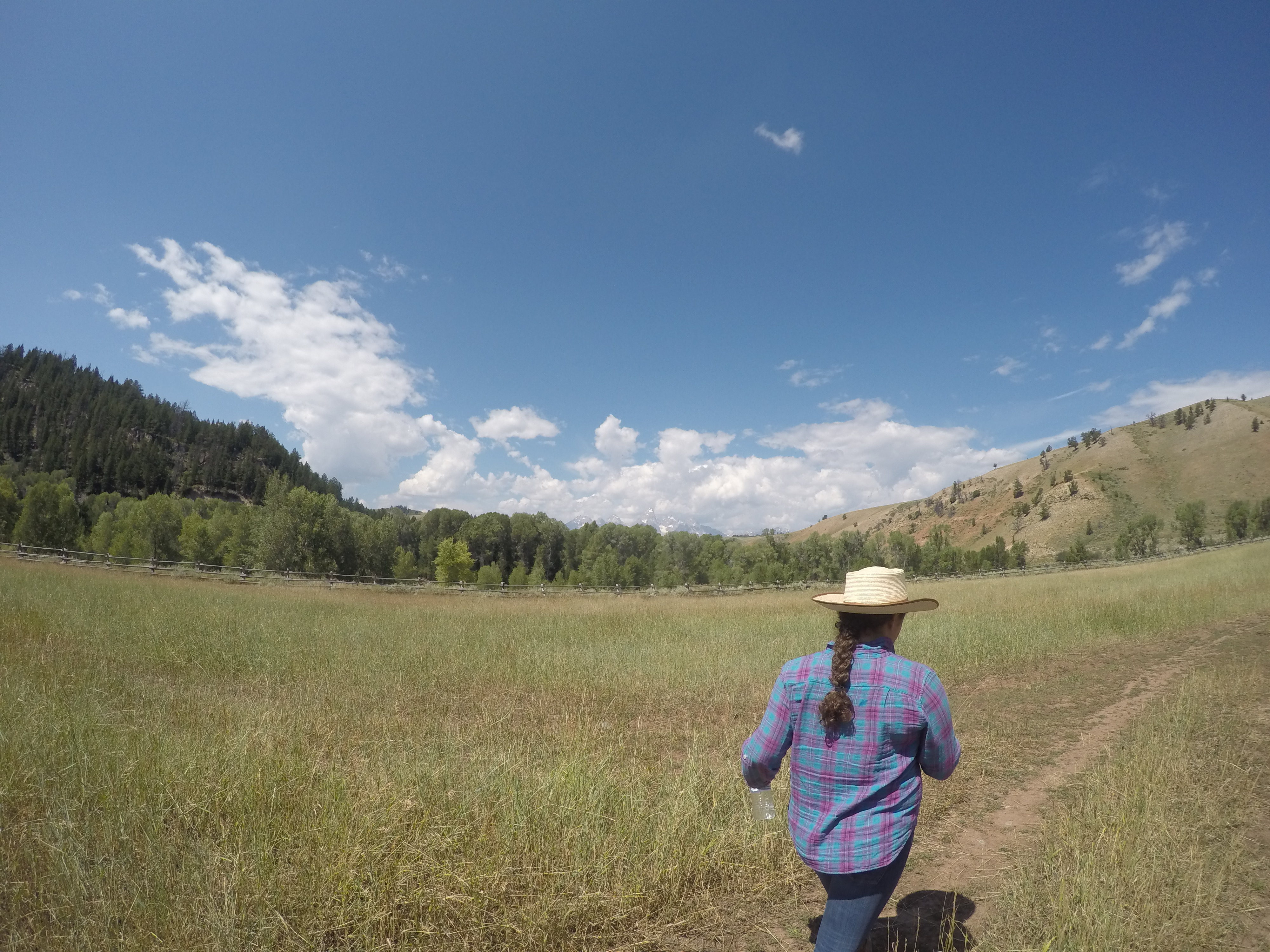 DCIM100GOPROG0120781.