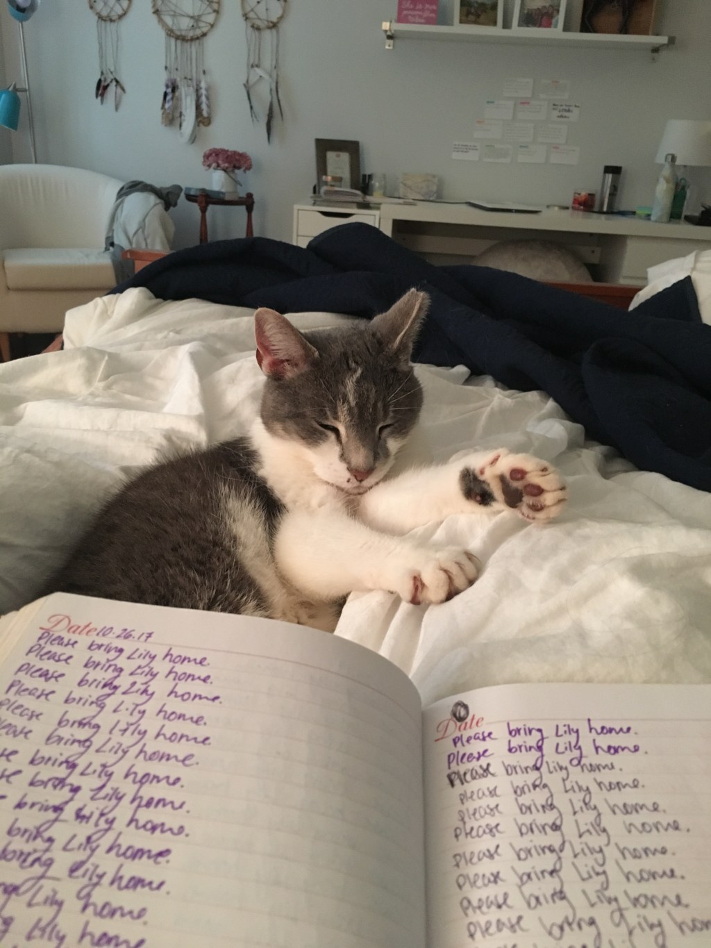 sunday, october twenty-ninth