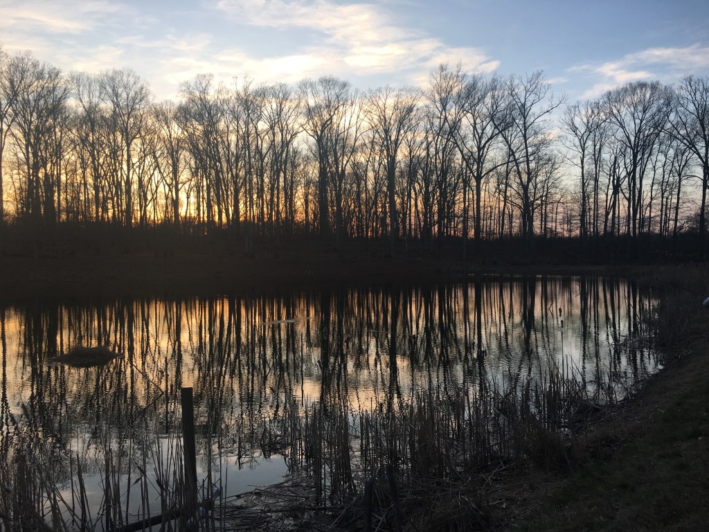 the grave has nothing for&nbsp;you