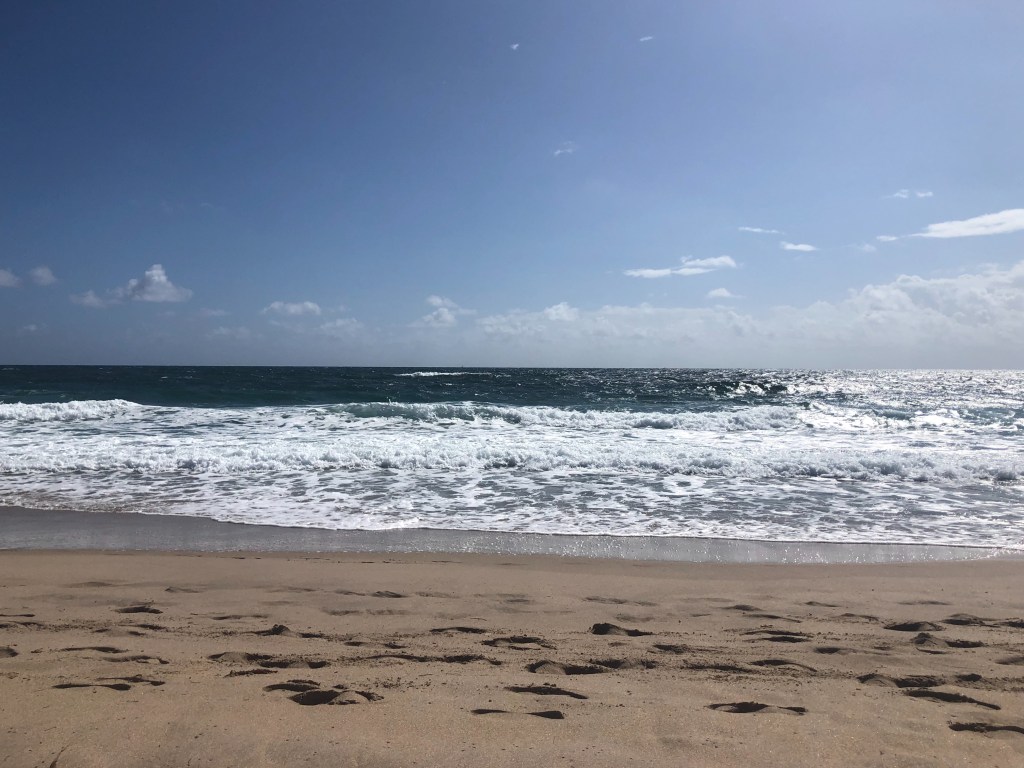 when a virus breaks&nbsp;out