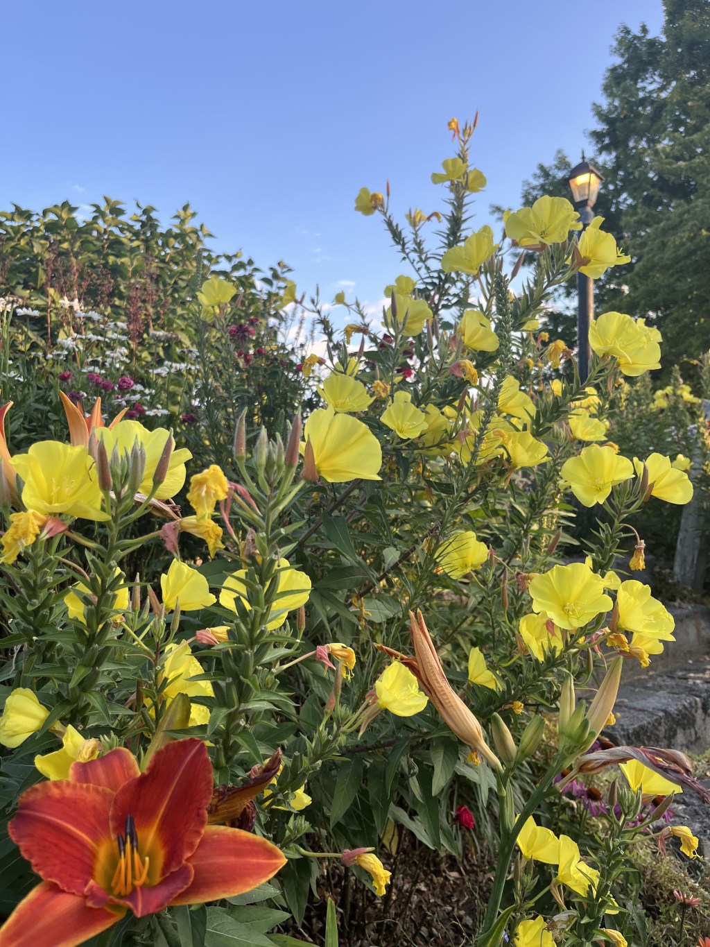 there is joy&nbsp;here