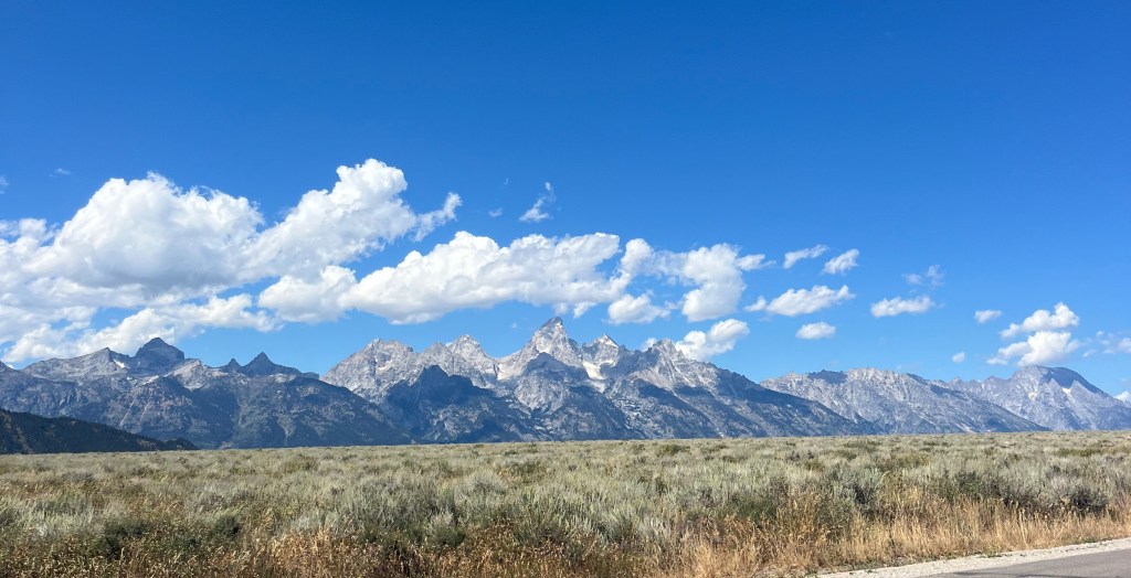 my love letter to ranch life